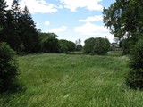 11 Wind Blowing Grass Early Summer